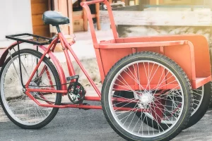 Roulements à billes pour vélo triporteur